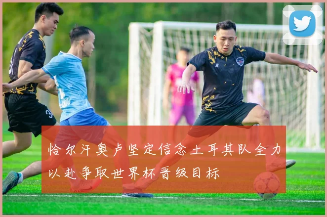 恰尔汗奥卢坚定信念土耳其队全力以赴争取世界杯晋级目标