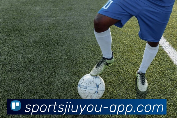 九游娱乐平台生态图